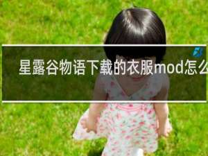 星露谷物语下载的衣服mod怎么用