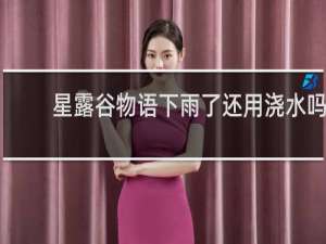 星露谷物语下雨了还用浇水吗