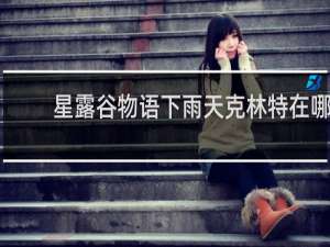 星露谷物语下雨天克林特在哪