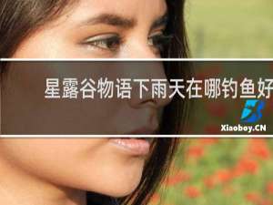 星露谷物语下雨天在哪钓鱼好