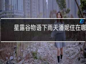 星露谷物语下雨天潘妮住在哪