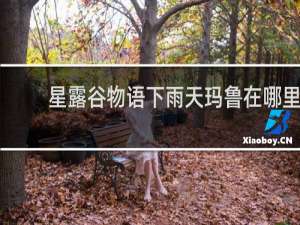 星露谷物语下雨天玛鲁在哪里