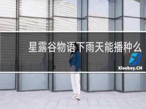 星露谷物语下雨天能播种么