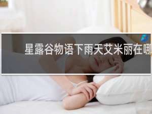 星露谷物语下雨天艾米丽在哪