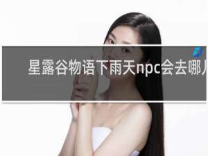 星露谷物语下雨天npc会去哪儿