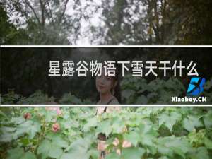 星露谷物语下雪天干什么
