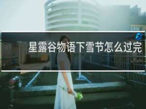 星露谷物语下雪节怎么过完