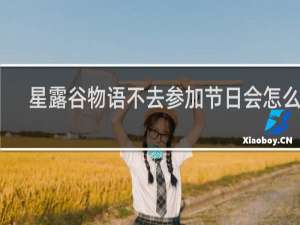 星露谷物语不去参加节日会怎么样
