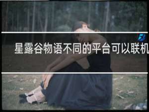 星露谷物语不同的平台可以联机吗