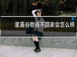 星露谷物语不回家会怎么样