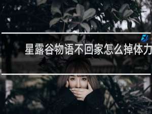 星露谷物语不回家怎么掉体力
