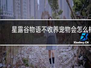 星露谷物语不收养宠物会怎么样