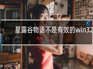 星露谷物语不是有效的win32