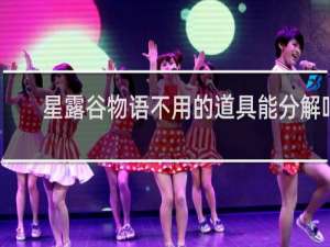 星露谷物语不用的道具能分解吗