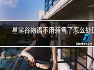 星露谷物语不用装备了怎么处理