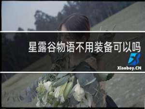 星露谷物语不用装备可以吗