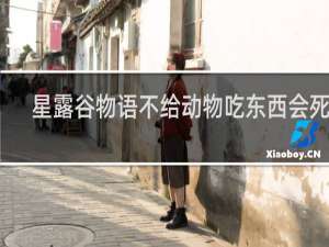 星露谷物语不给动物吃东西会死吗