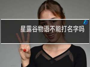 星露谷物语不能打名字吗