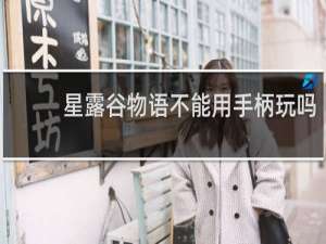 星露谷物语不能用手柄玩吗