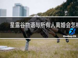 星露谷物语与所有人离婚会怎样