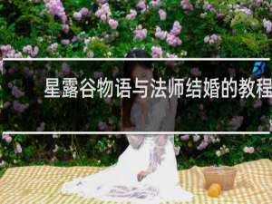 星露谷物语与法师结婚的教程