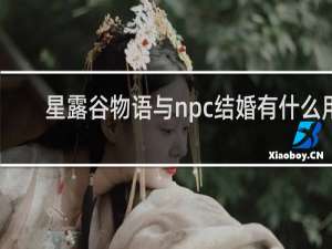 星露谷物语与npc结婚有什么用
