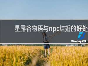 星露谷物语与npc结婚的好处