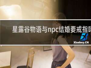 星露谷物语与npc结婚要戒指吗
