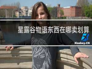 星露谷物语东西在哪卖划算