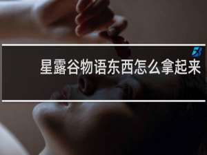 星露谷物语东西怎么拿起来