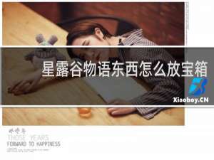 星露谷物语东西怎么放宝箱