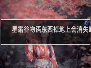 星露谷物语东西掉地上会消失吗