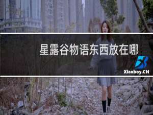 星露谷物语东西放在哪