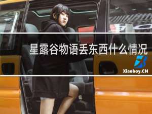 星露谷物语丢东西什么情况