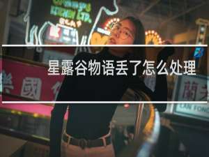 星露谷物语丢了怎么处理