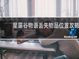 星露谷物语丢失物品位置攻略