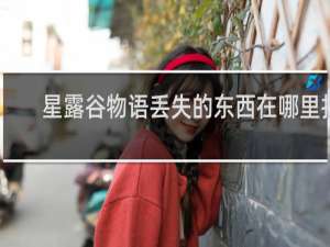 星露谷物语丢失的东西在哪里找