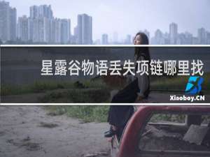 星露谷物语丢失项链哪里找