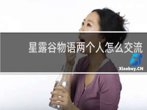 星露谷物语两个人怎么交流