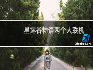 星露谷物语两个人联机
