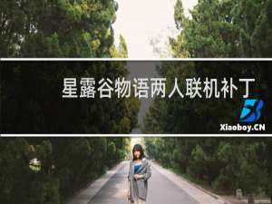 星露谷物语两人联机补丁