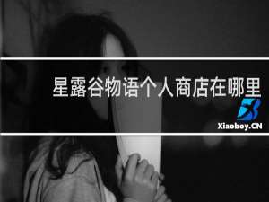 星露谷物语个人商店在哪里