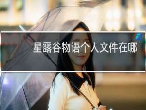 星露谷物语个人文件在哪
