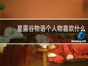 星露谷物语个人物喜欢什么