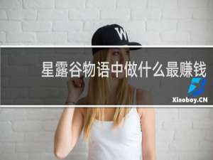 星露谷物语中做什么最赚钱