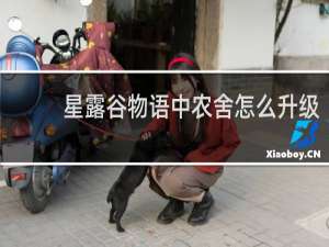 星露谷物语中农舍怎么升级