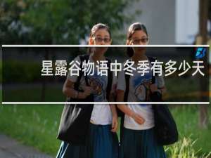 星露谷物语中冬季有多少天
