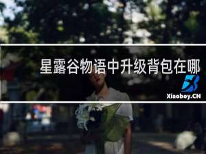 星露谷物语中升级背包在哪