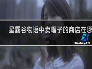 星露谷物语中卖帽子的商店在哪里