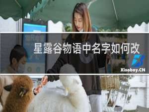 星露谷物语中名字如何改